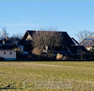Rückansicht