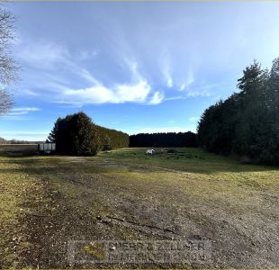 Hinterhof
