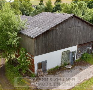neue Stallung